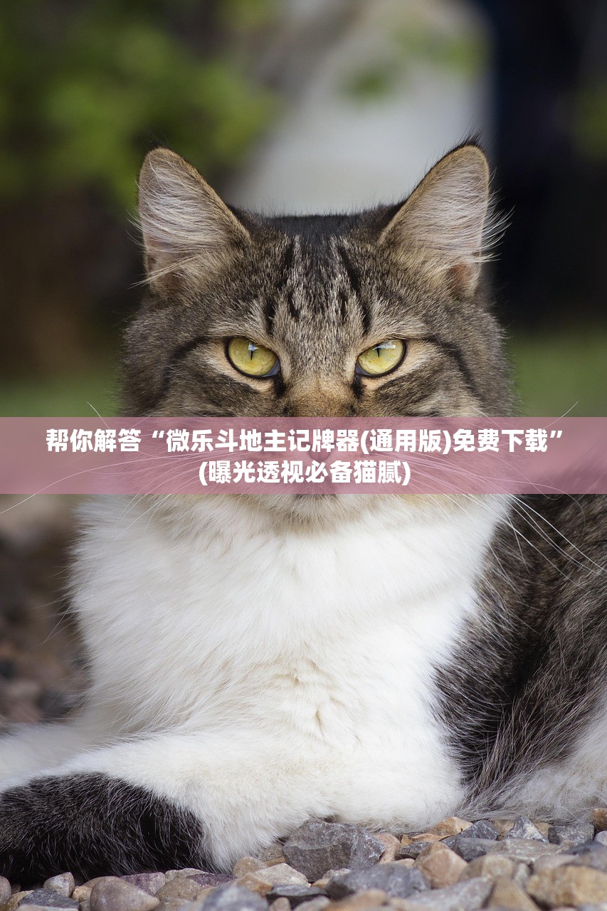 今日教程“铭心牛牛透视软件辅助器”开挂辅助详细步骤