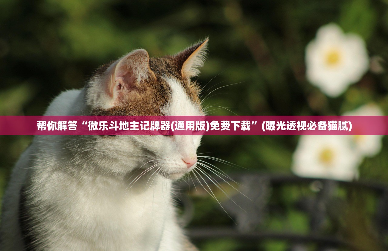 实操教程“wepoker透视辅助挂教程”(曝光透视必备猫腻)
