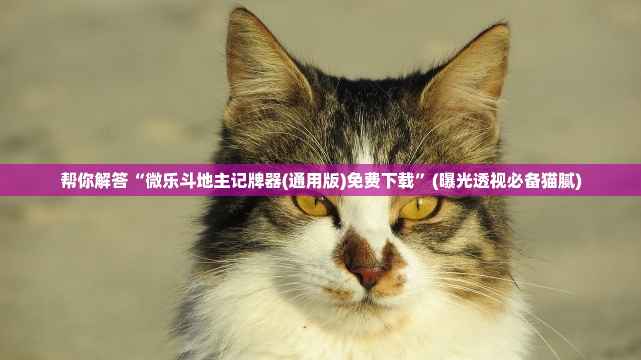 万能开挂辅助“搜圈麻将到底有没有挂”附开挂脚本详细教程-知乎