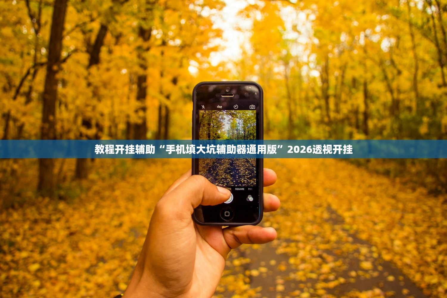 教程开挂辅助“手机填大坑辅助器通用版”2026透视开挂