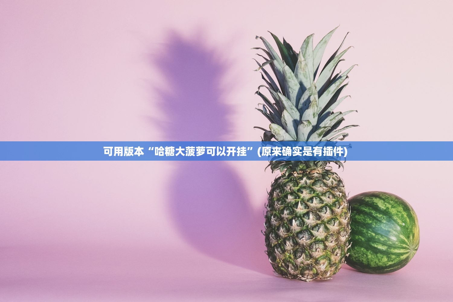 可用版本“哈糖大菠萝可以开挂”(原来确实是有插件) 