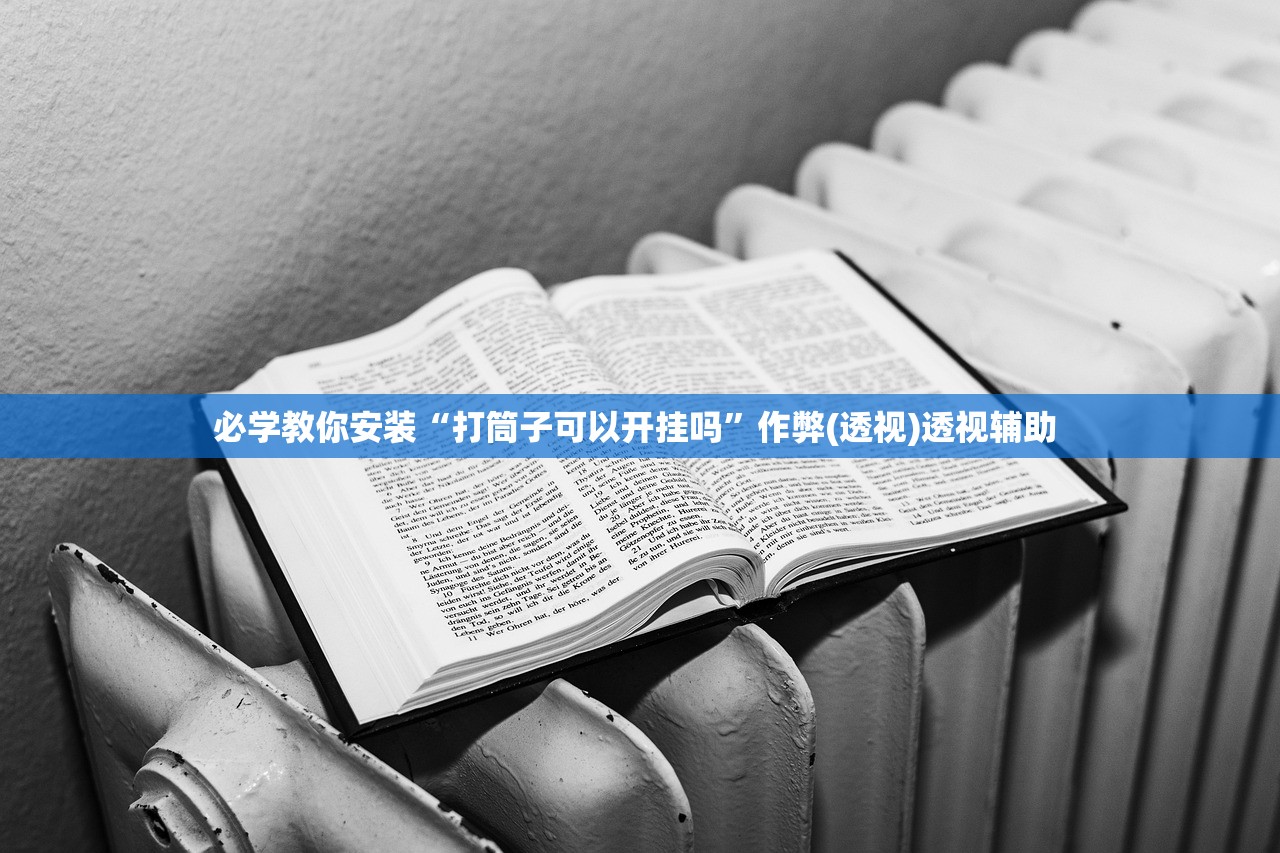 必学教你安装“打筒子可以开挂吗”作弊(透视)透视辅助 