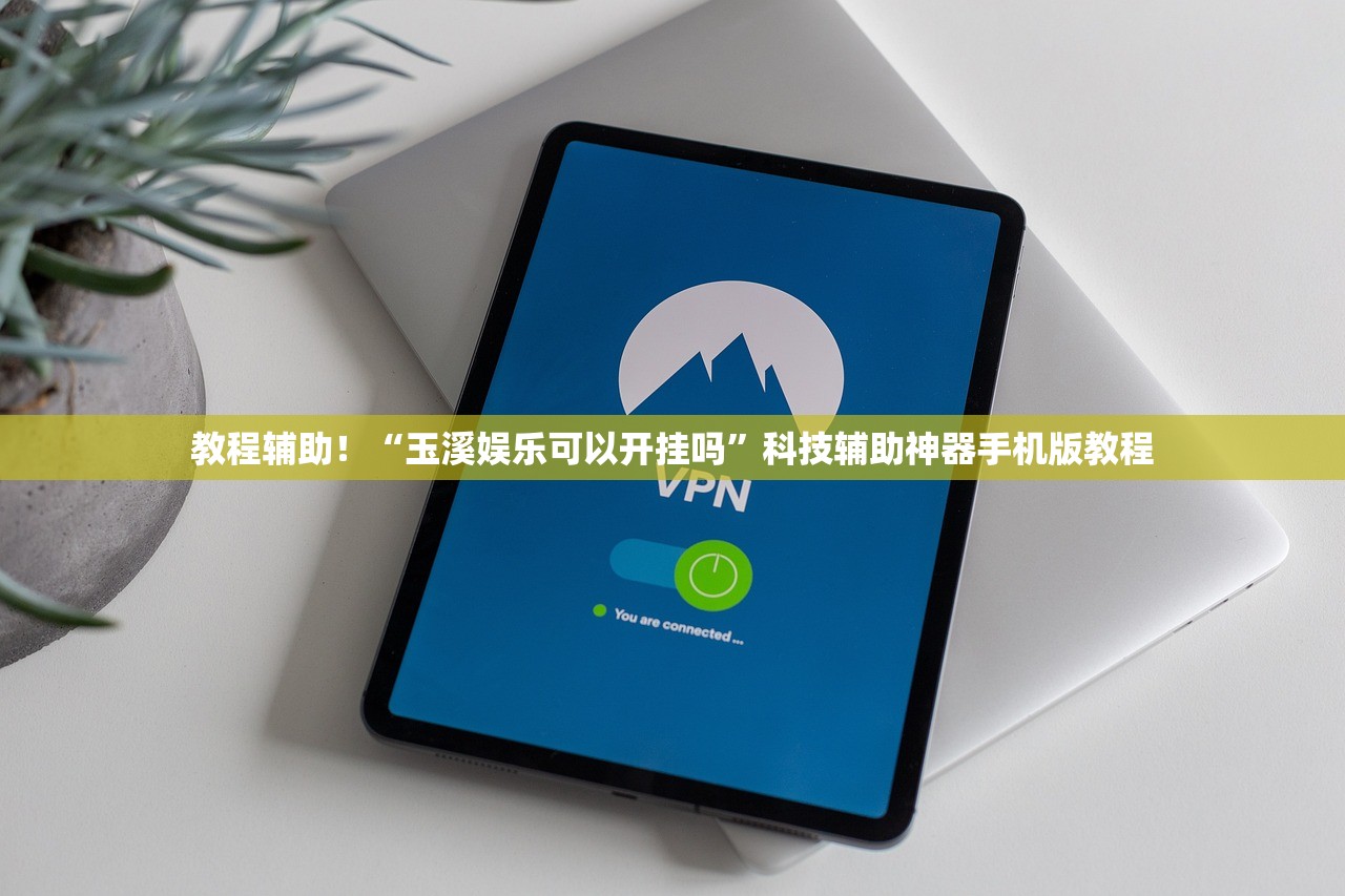 教程辅助！“玉溪娱乐可以开挂吗”科技辅助神器手机版教程