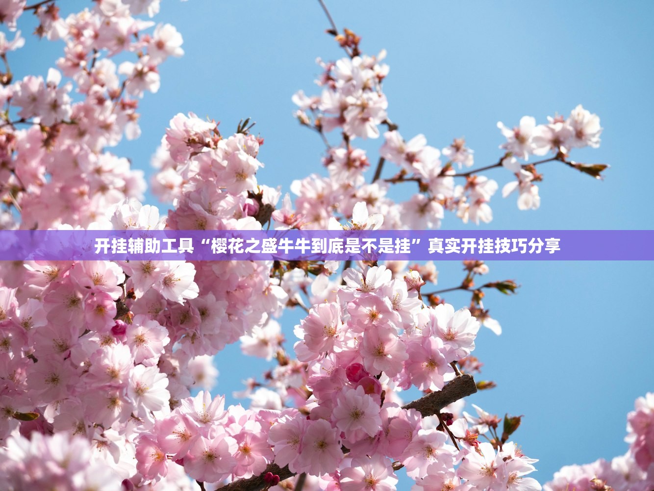 今日必看教程“卡贝大厅金花开挂透视软件”通用版下载教程！