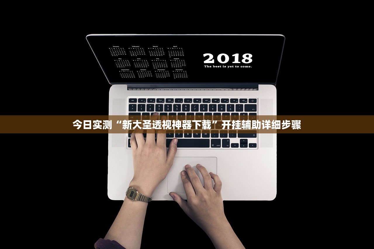 今日实测“新大圣透视神器下载”开挂辅助详细步骤