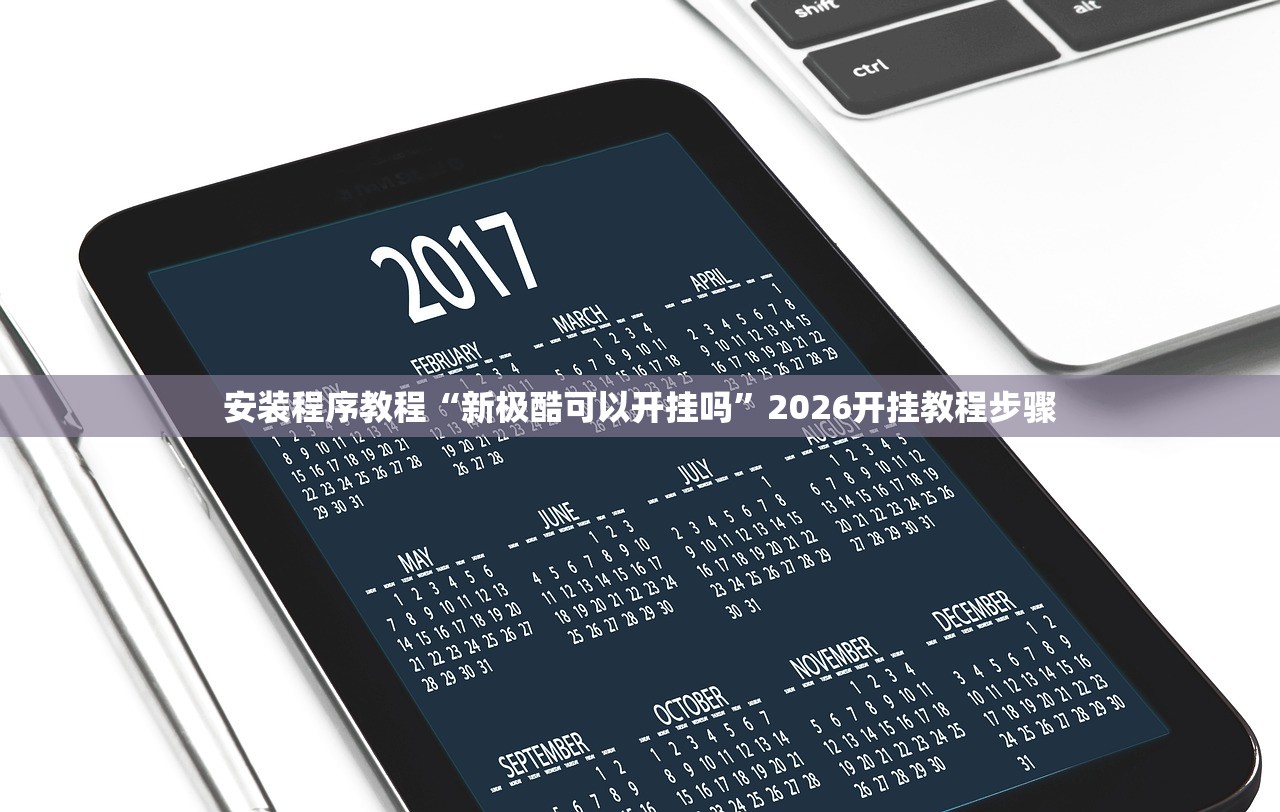 安装程序教程“新极酷可以开挂吗	”2026开挂教程步骤