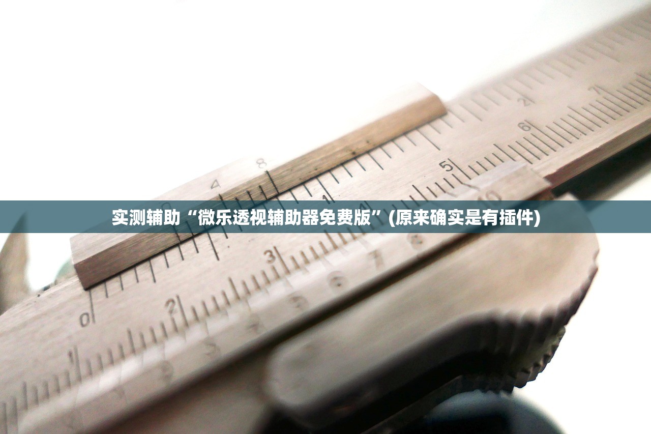 实测辅助“微乐透视辅助器免费版	”(原来确实是有插件)