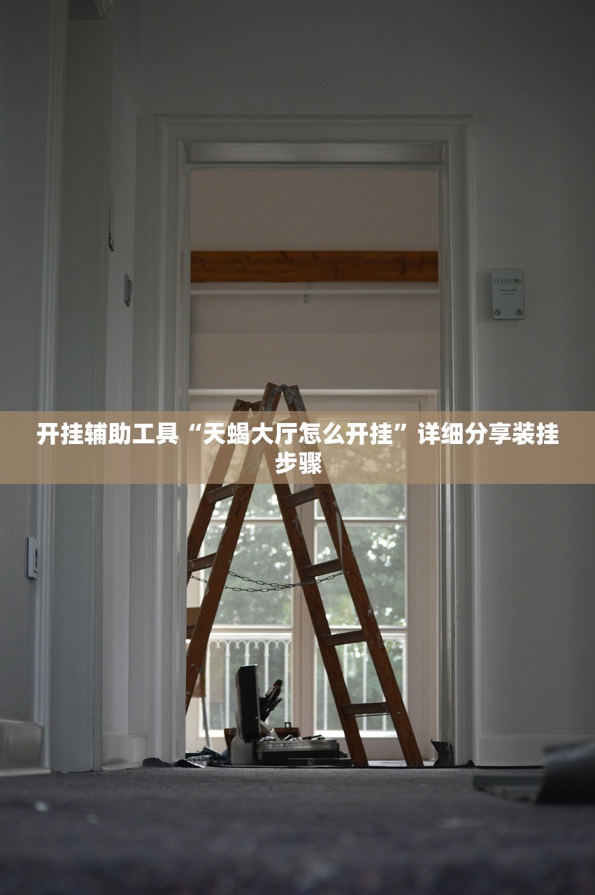 开挂辅助工具“天蝎大厅怎么开挂”详细分享装挂步骤