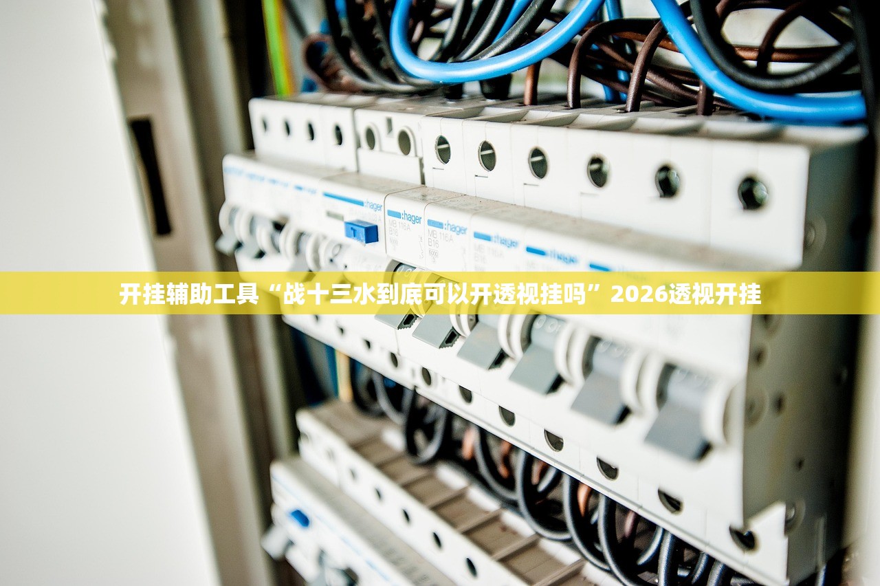 开挂辅助工具“战十三水到底可以开透视挂吗	”2026透视开挂