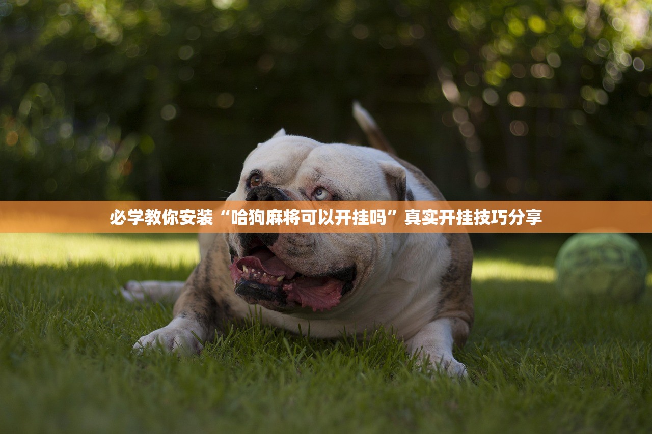 必学教你安装“哈狗麻将可以开挂吗”真实开挂技巧分享
