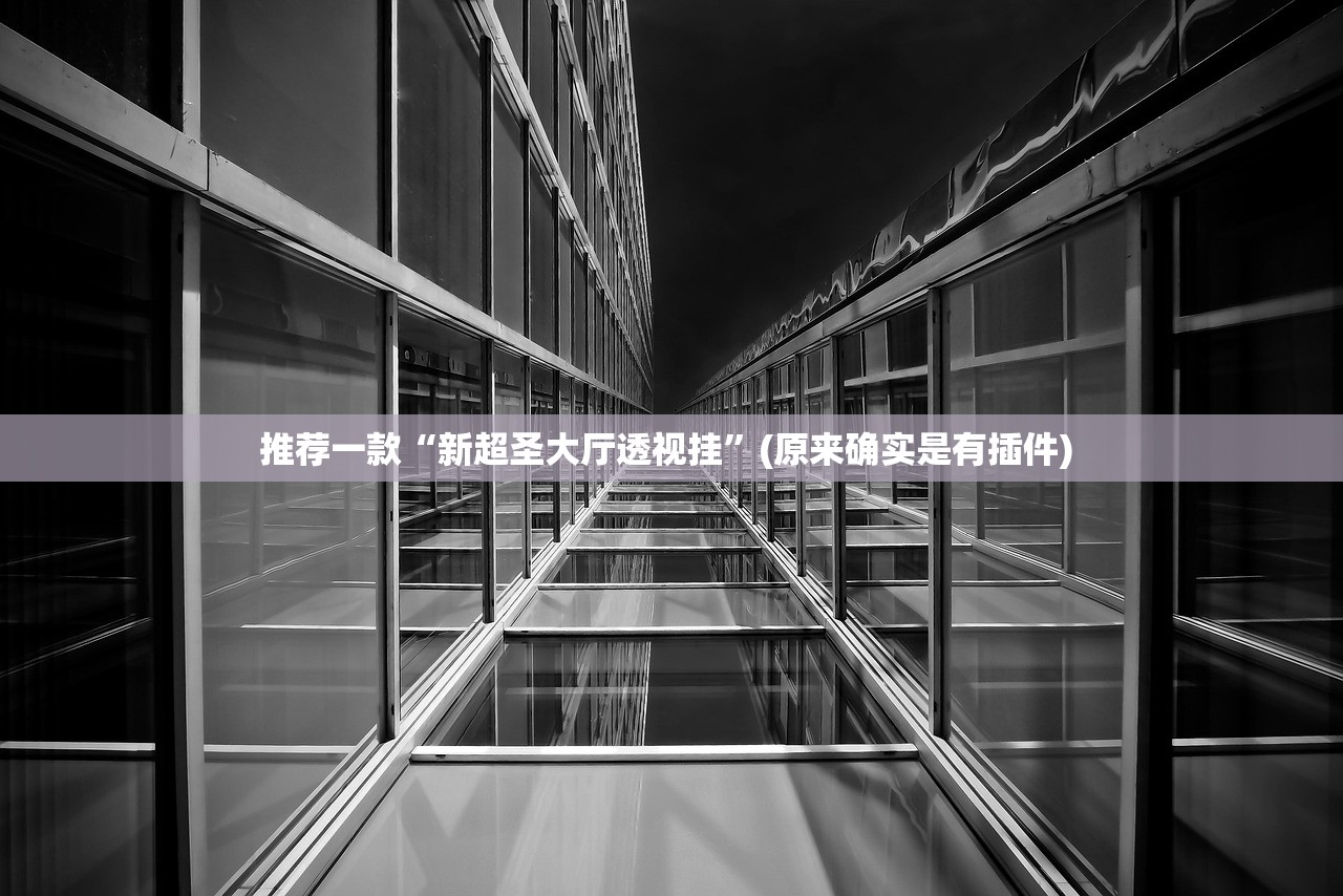 推荐一款“新超圣大厅透视挂	”(原来确实是有插件) 
