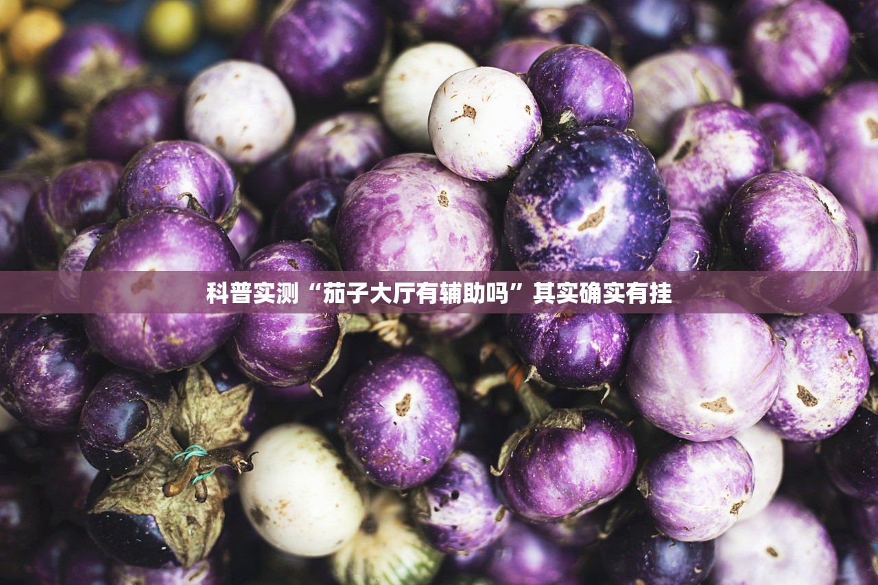 今日必看教程“微乐江西麻将必赢神器	”2026开挂教程步骤