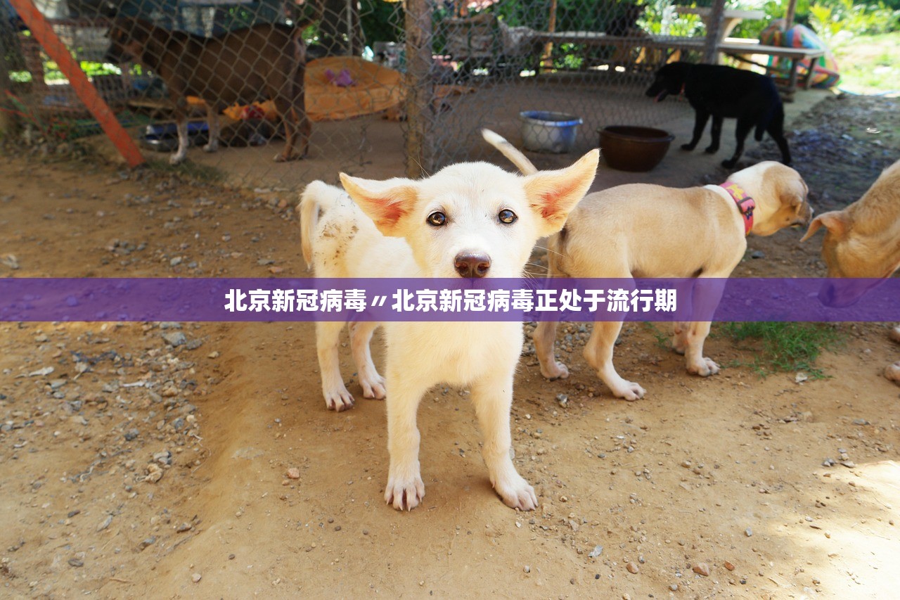 实操教程“情怀莆仙有没有挂”(曝光透视必备猫腻)