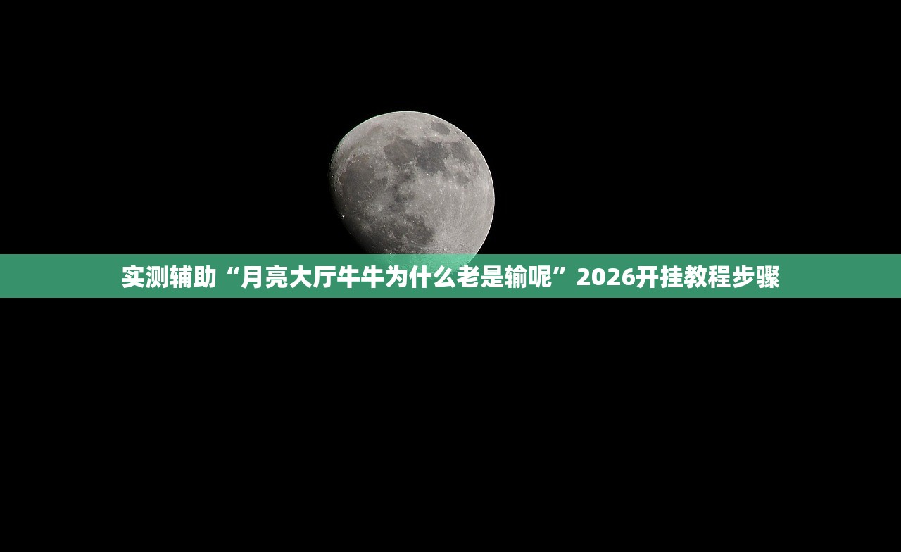 教程辅助！“博乐龙江填大坑透视”2026开挂教程步骤