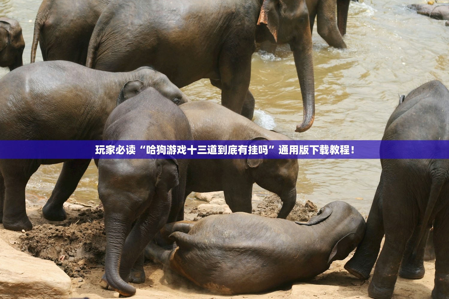 推荐一款“跑的快有没有开挂的软件”开挂辅助详细步骤