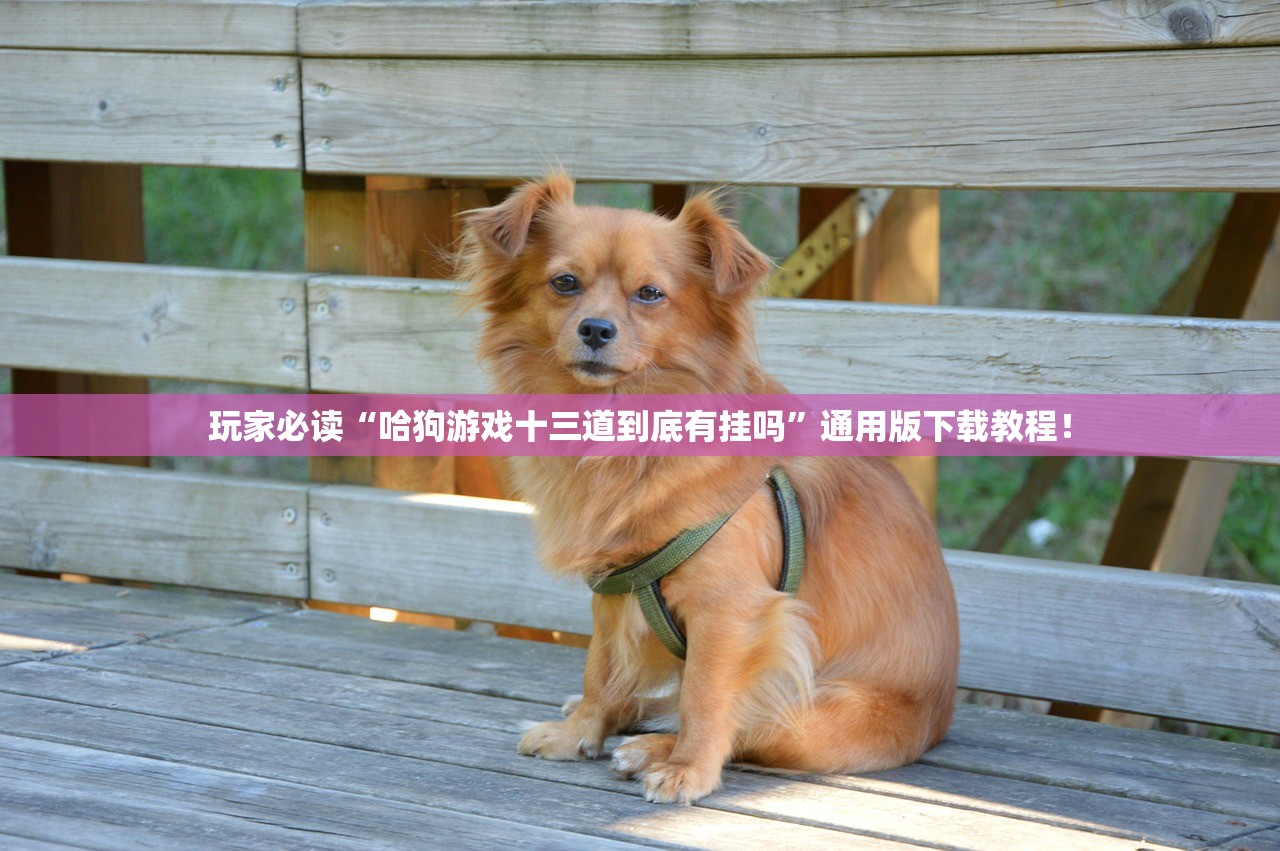 今日必看教程“南通快胡麻将辅助神器	”揭秘透视辅助万能挂用法