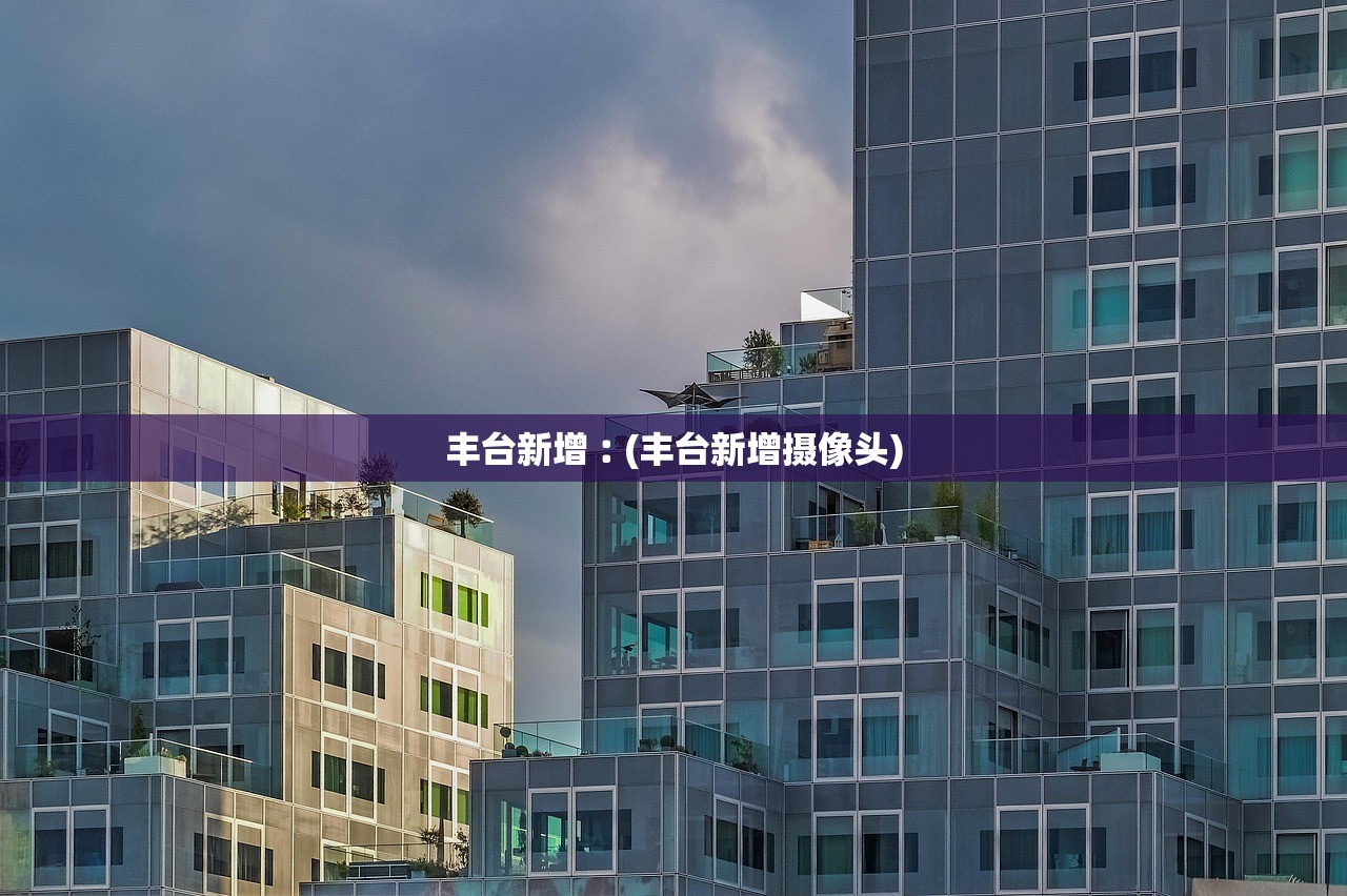 丰台新增︰(丰台新增摄像头) 丰台新增︰(丰台新增摄像头)