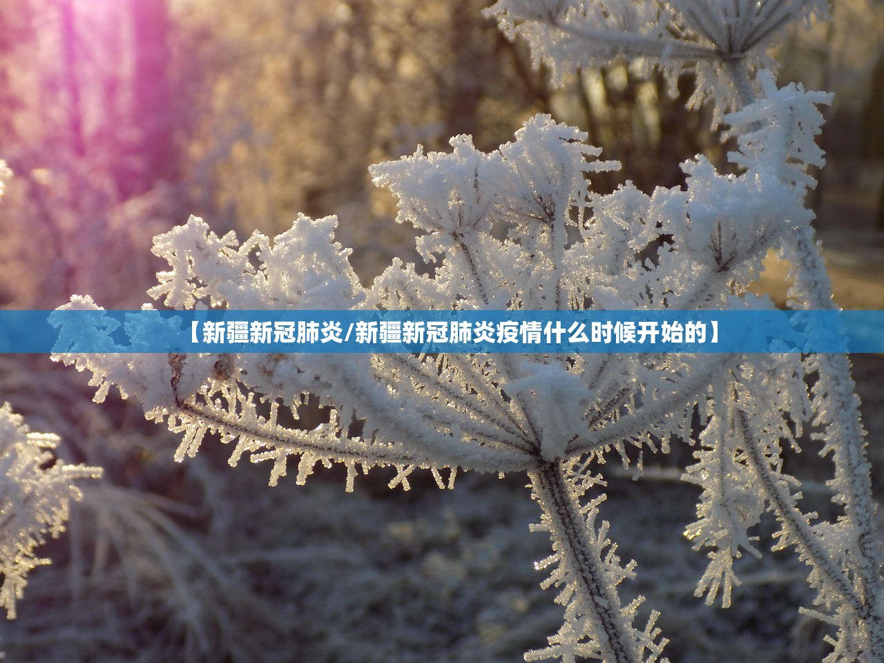 【新疆新冠肺炎/新疆新冠肺炎疫情什么时候开始的】 【新疆新冠肺炎/新疆新冠肺炎疫情什么时候开始的】