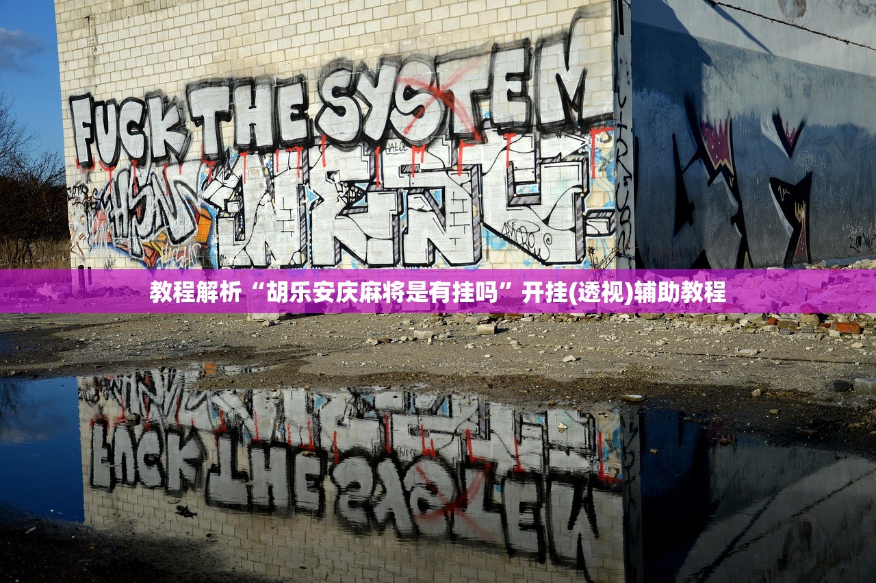 教程解析“胡乐安庆麻将是有挂吗	”开挂(透视)辅助教程