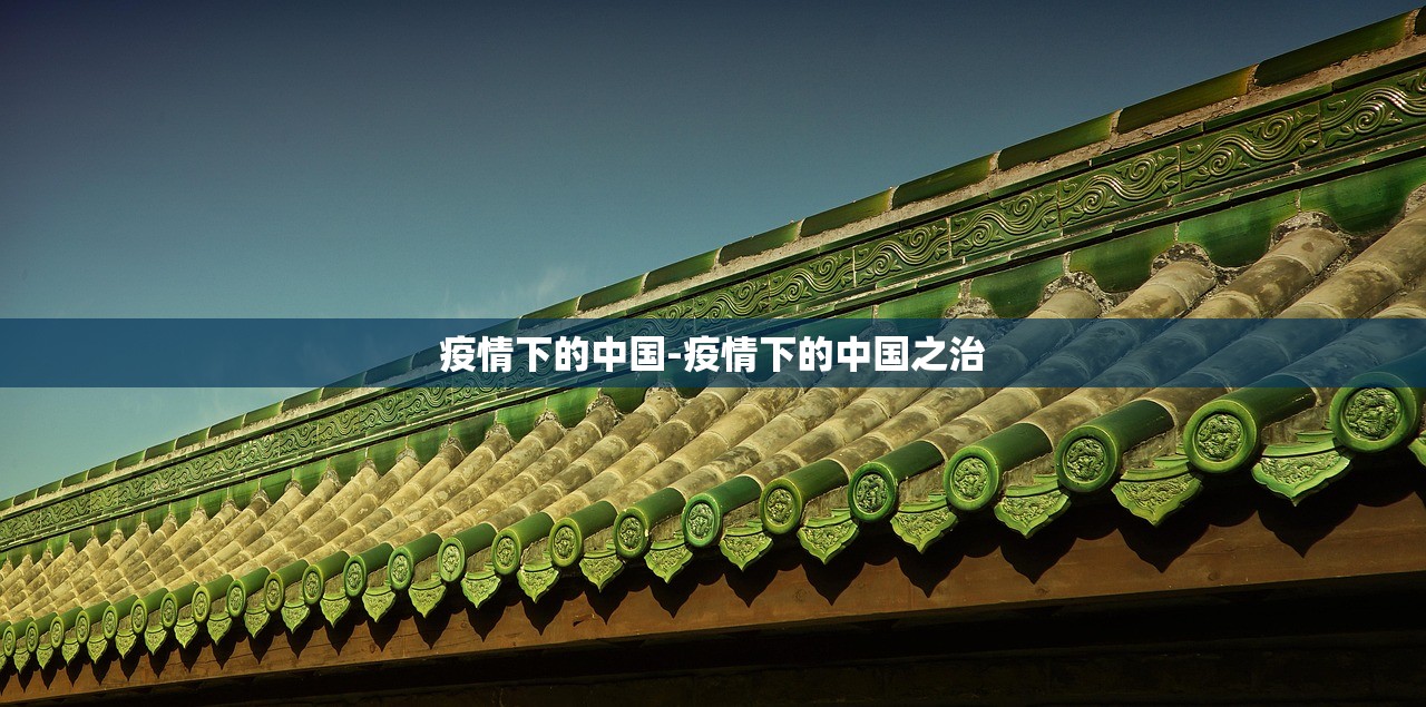 疫情下的中国-疫情下的中国之治