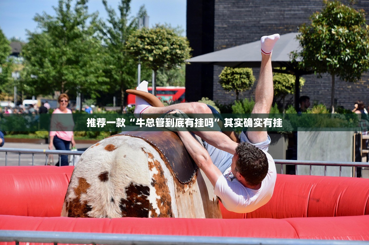 推荐一款“牛总管到底有挂吗”其实确实有挂