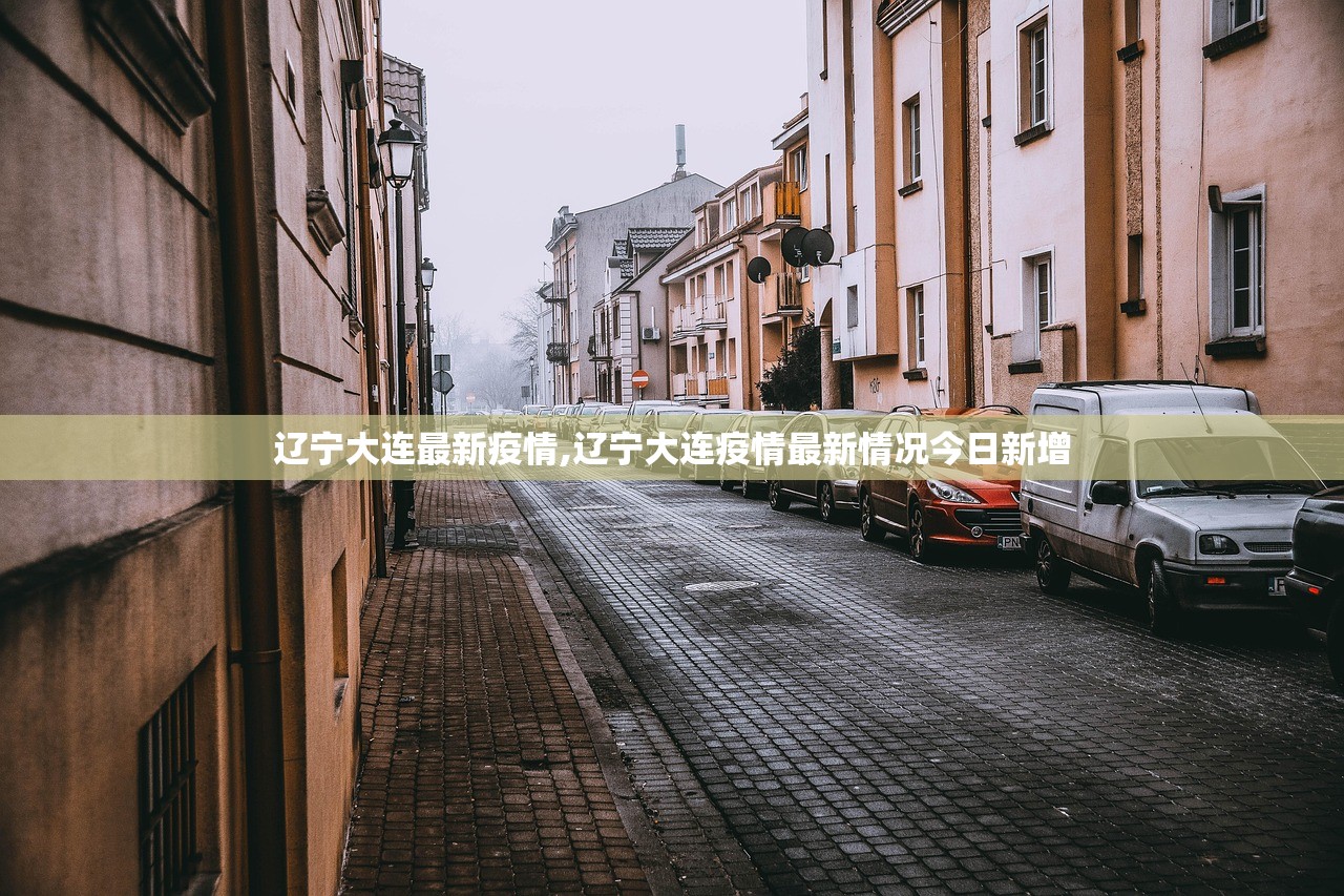 辽宁大连最新疫情,辽宁大连疫情最新情况今日新增