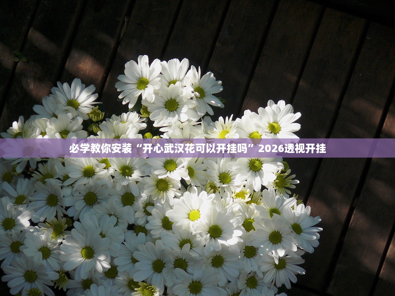 必学教你安装“开心武汉花可以开挂吗”2026透视开挂