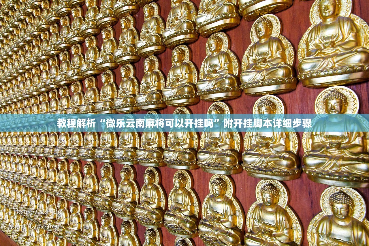 教程解析“微乐云南麻将可以开挂吗	”附开挂脚本详细步骤