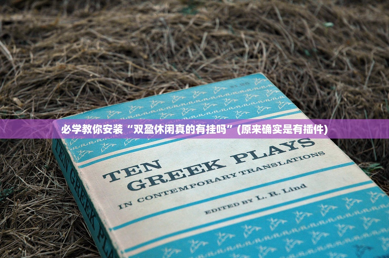 必学教你安装“双盈休闲真的有挂吗”(原来确实是有插件)