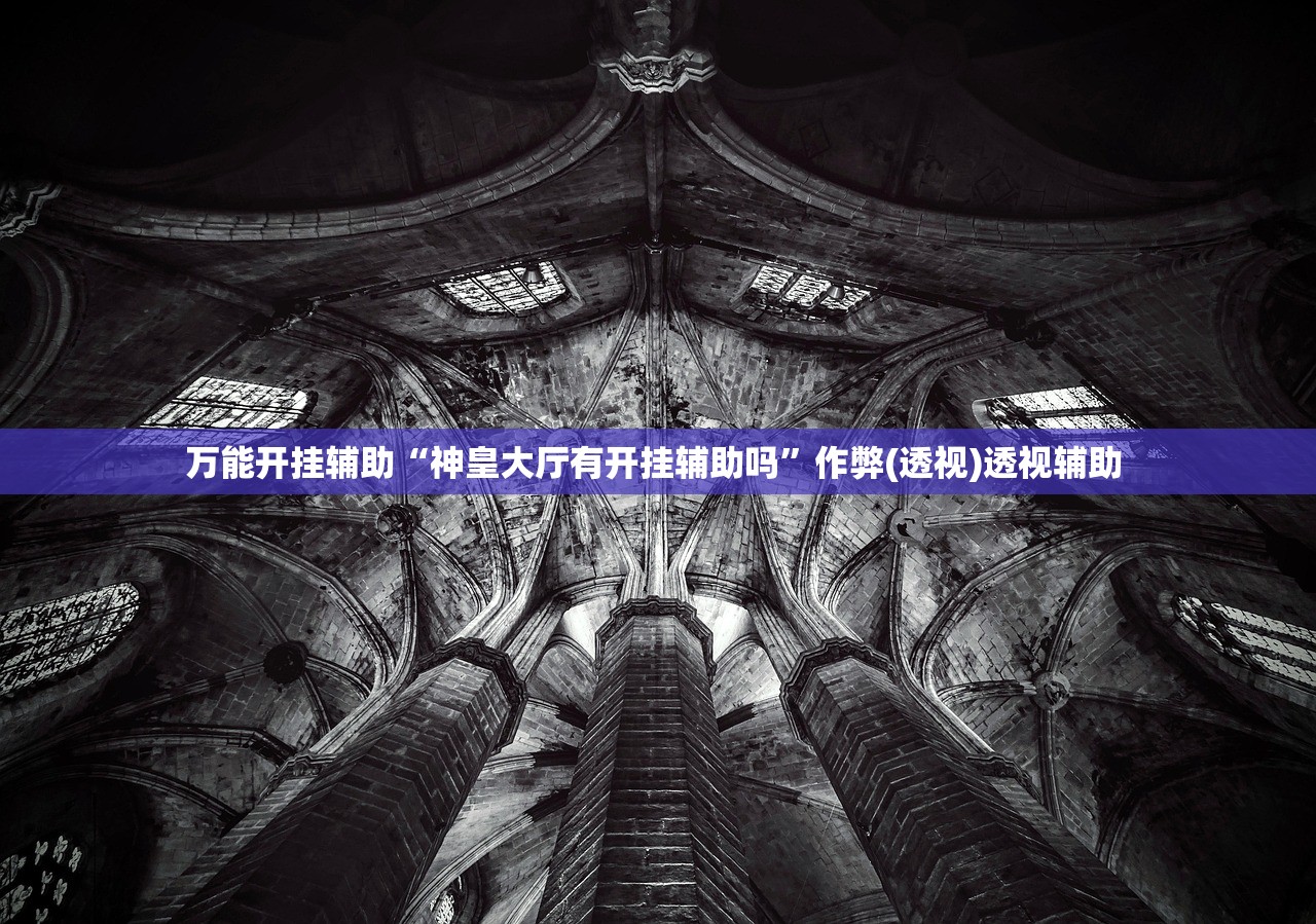 万能开挂辅助“神皇大厅有开挂辅助吗”作弊(透视)透视辅助 