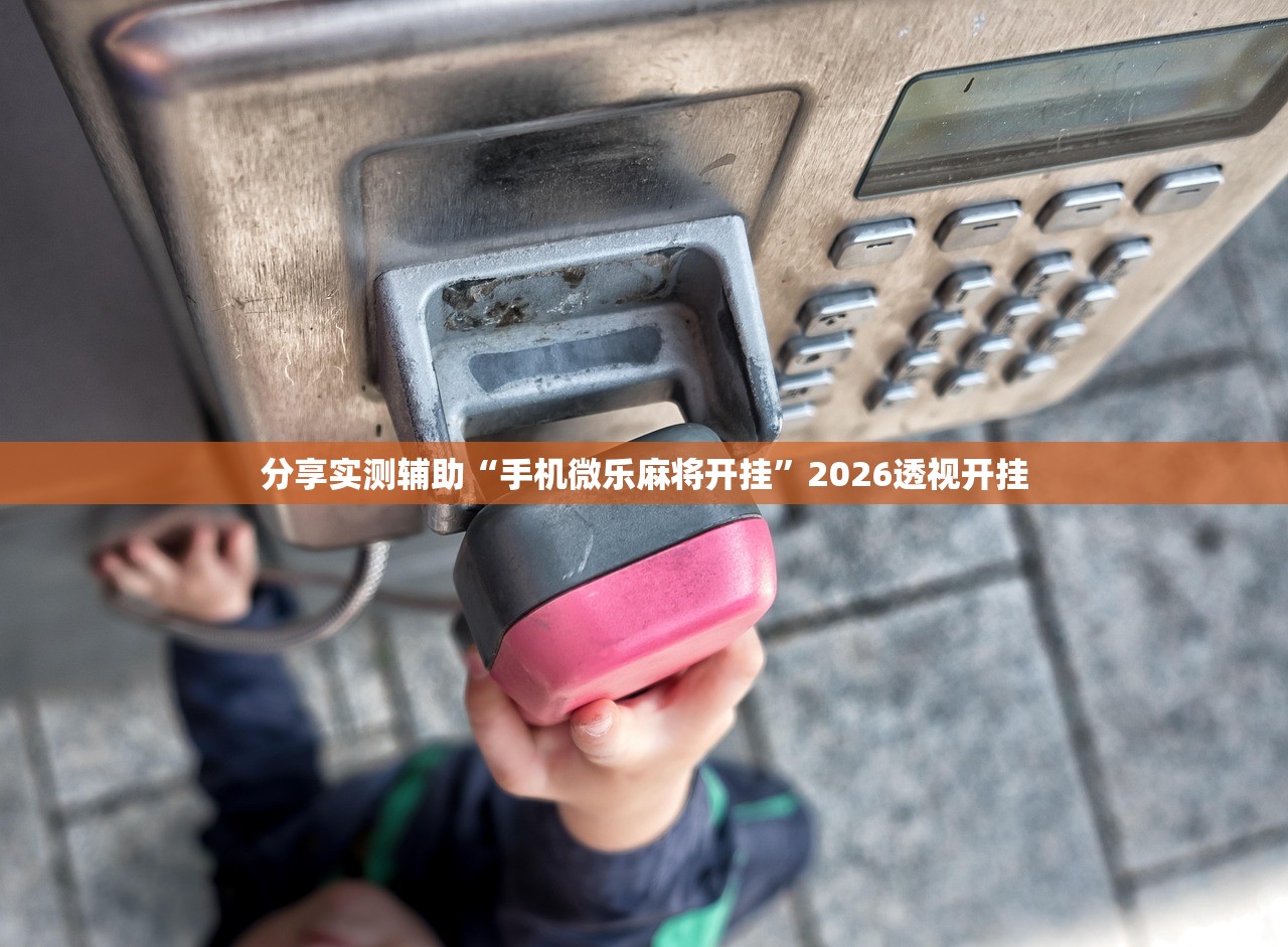 分享实测辅助“手机微乐麻将开挂”2026透视开挂