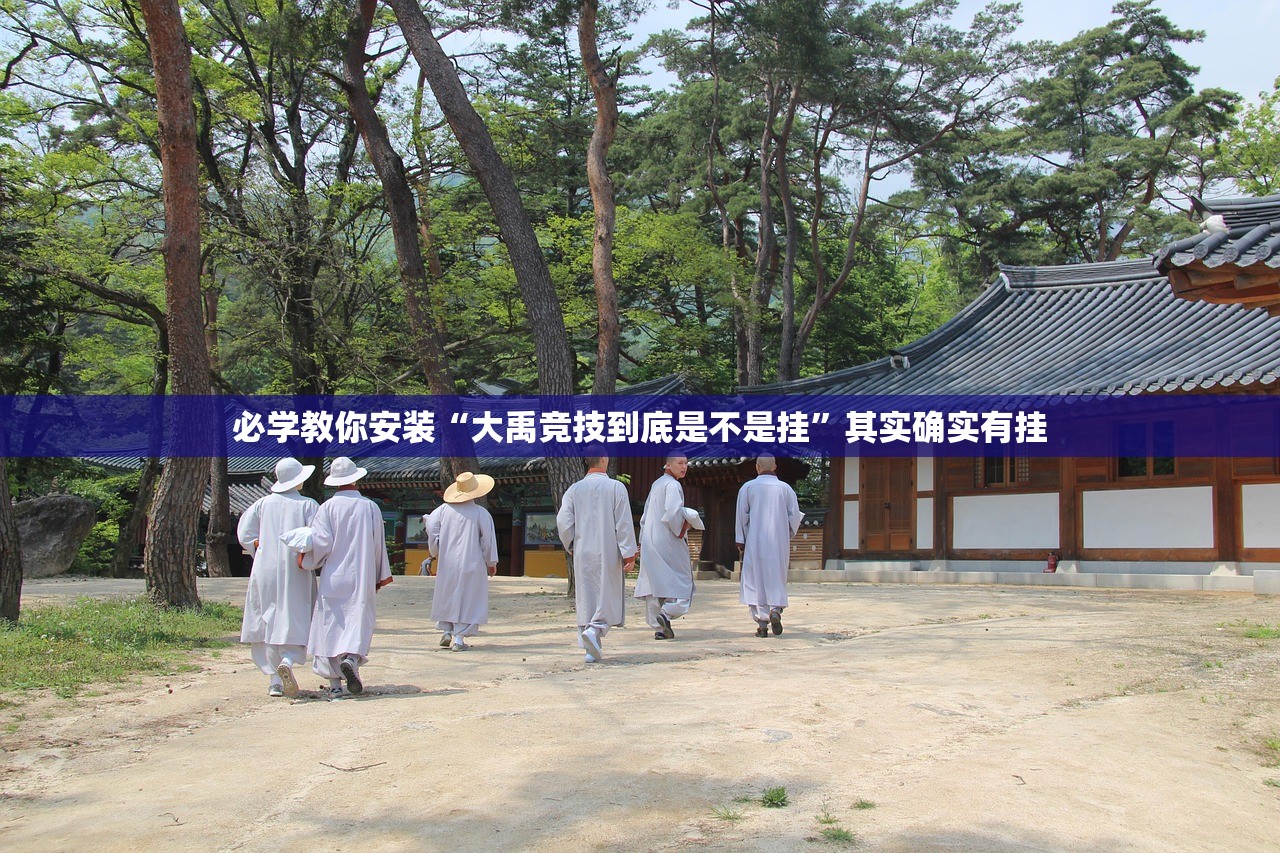 必学教你安装“大禹竞技到底是不是挂”其实确实有挂