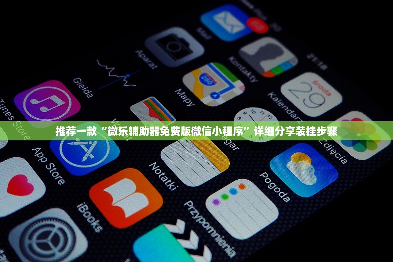 推荐一款“微乐辅助器免费版微信小程序”详细分享装挂步骤