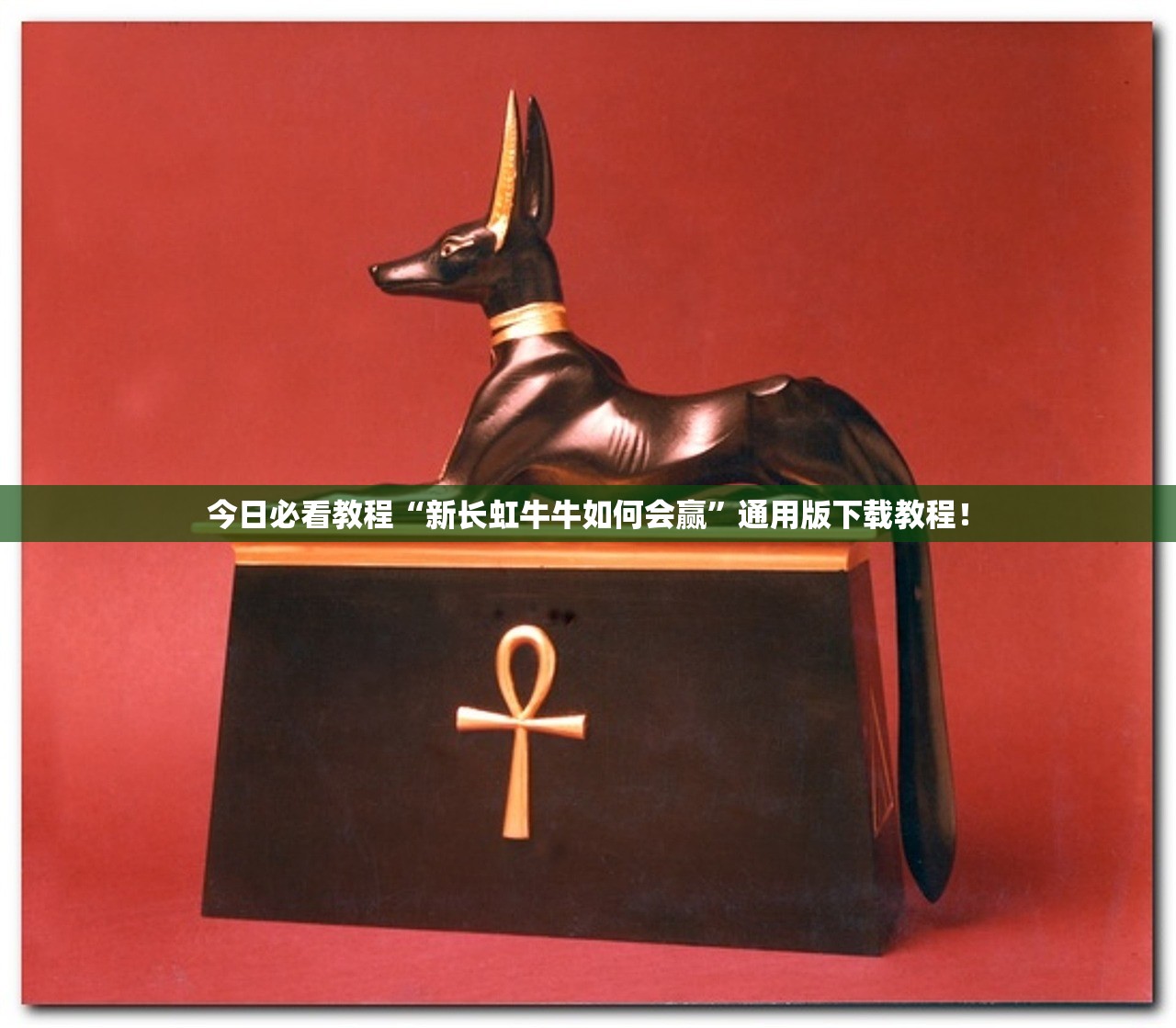 教程解析“悠悠系列怎么开挂	”开挂辅助详细步骤