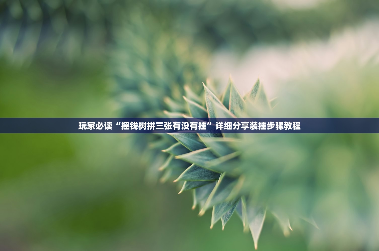 专家分析“朋朋棋牌怎么装挂”通用版下载教程！