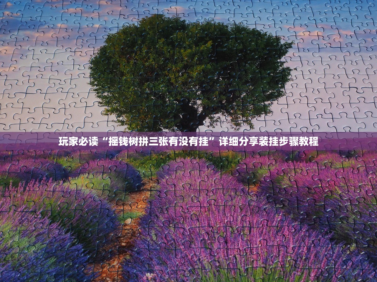 玩家必读“摇钱树拼三张有没有挂”详细分享装挂步骤教程