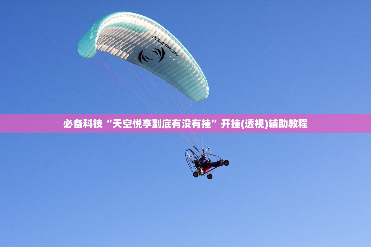 必备科技“天空悦享到底有没有挂”开挂(透视)辅助教程