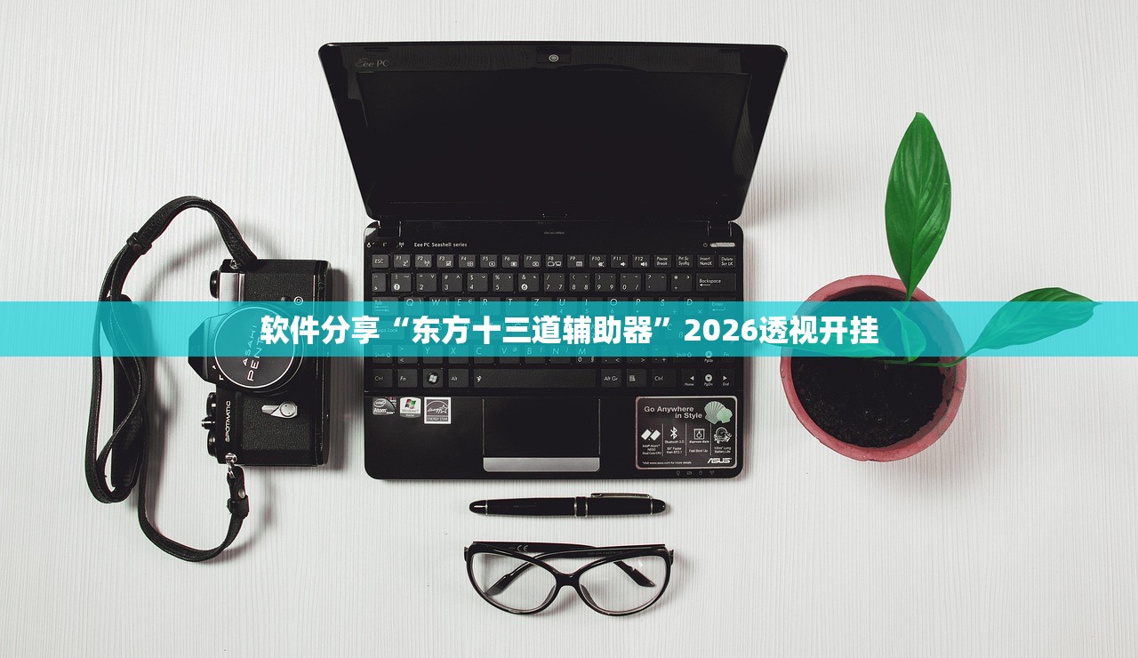 软件分享“东方十三道辅助器”2026透视开挂