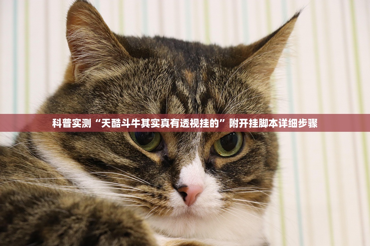 科普实测“天酷斗牛其实真有透视挂的	”附开挂脚本详细步骤