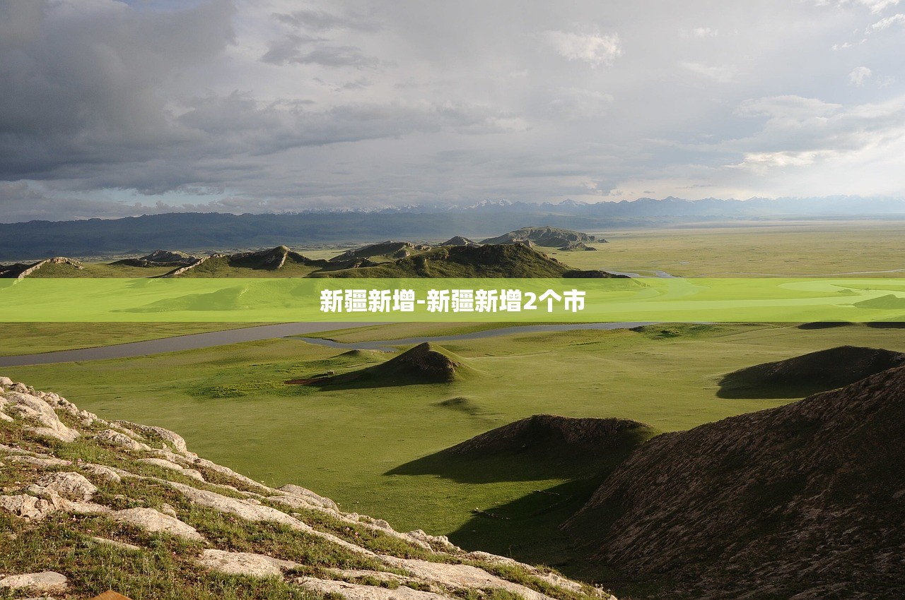 玩家必搜“wepoker德州软件挂”科技辅助神器手机版教程