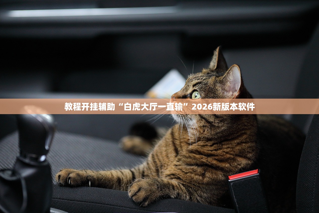 教程开挂辅助“白虎大厅一直输	”2026新版本软件