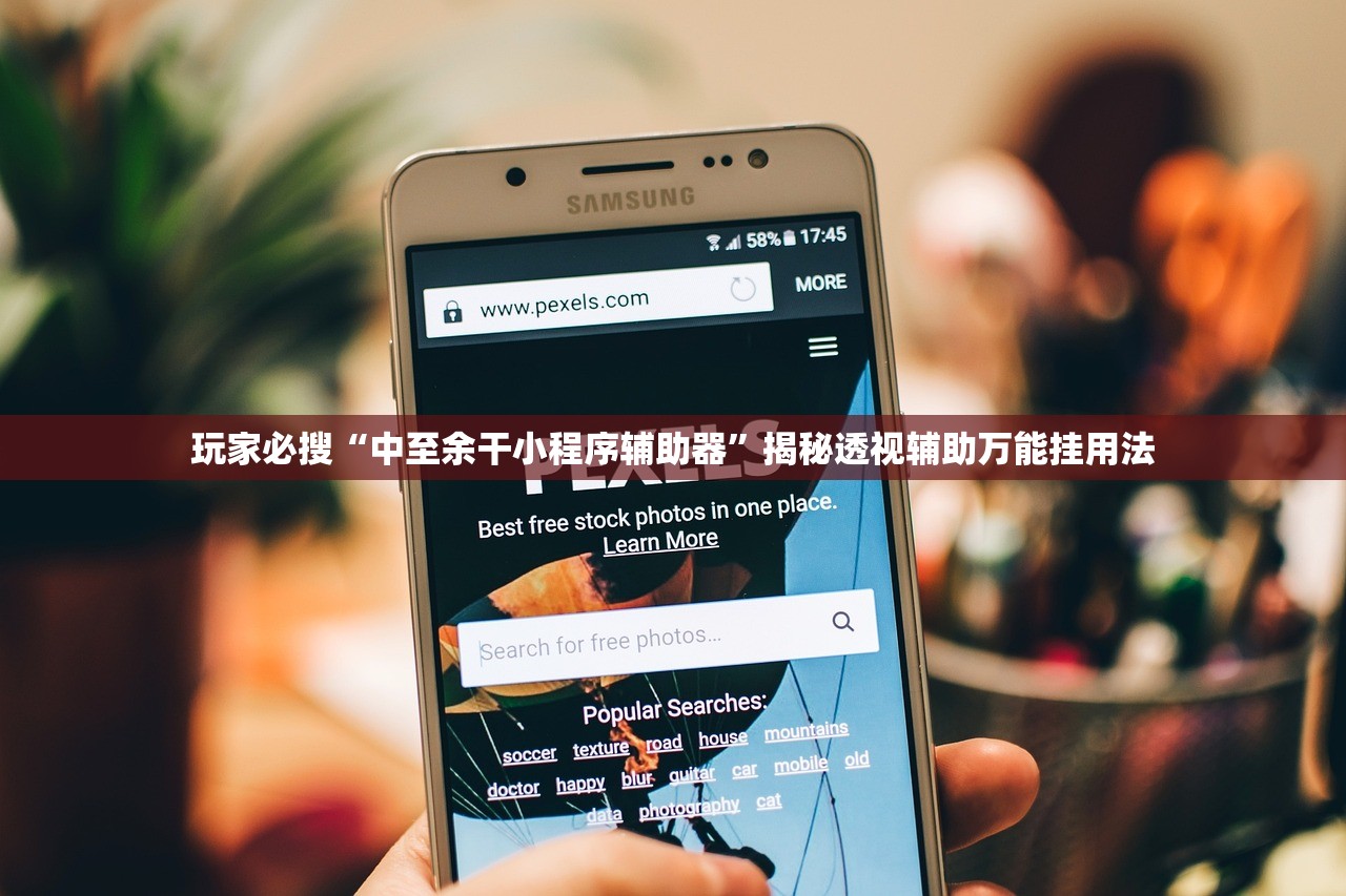 玩家必搜“中至余干小程序辅助器”揭秘透视辅助万能挂用法