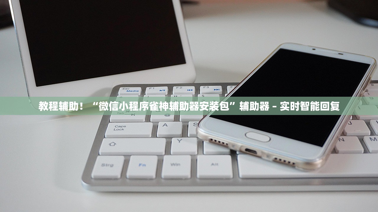 教程辅助！“微信小程序雀神辅助器安装包”辅助器 – 实时智能回复