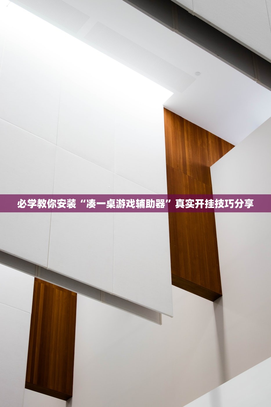 必学教你安装“凑一桌游戏辅助器”真实开挂技巧分享