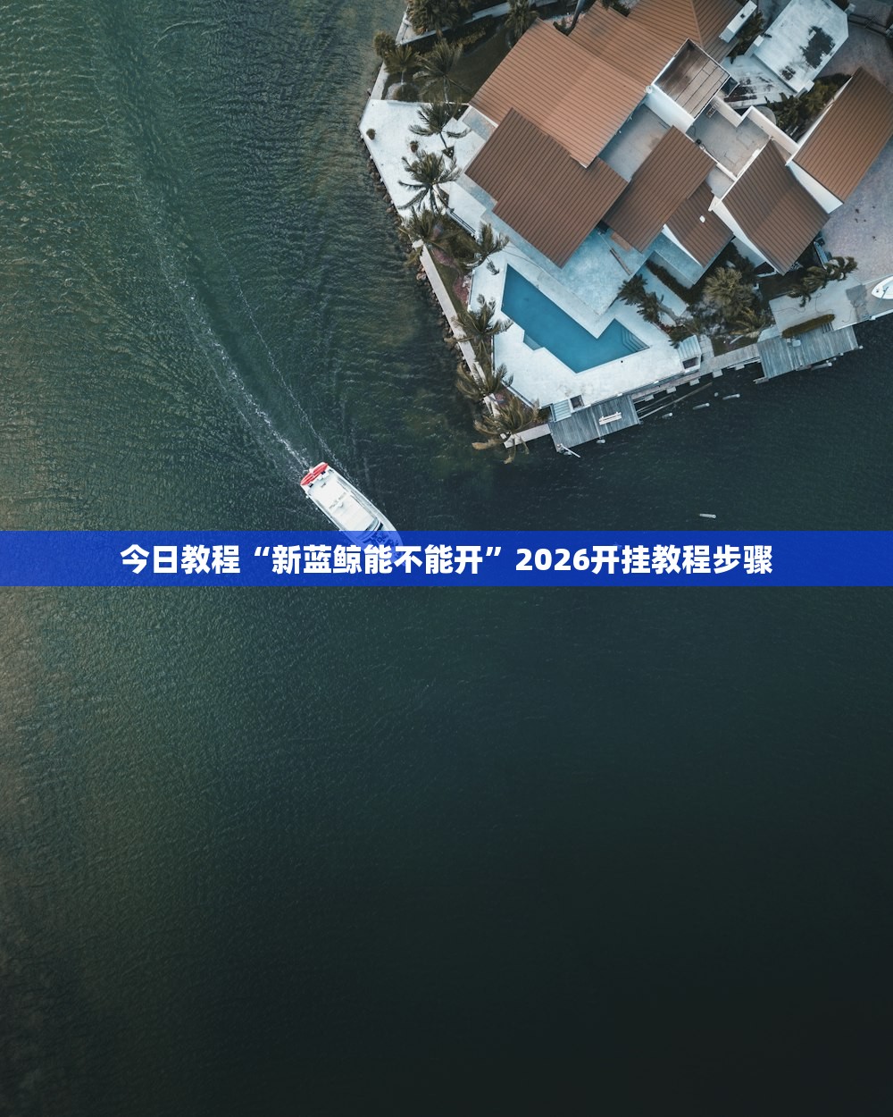 今日教程“新蓝鲸能不能开”2026开挂教程步骤