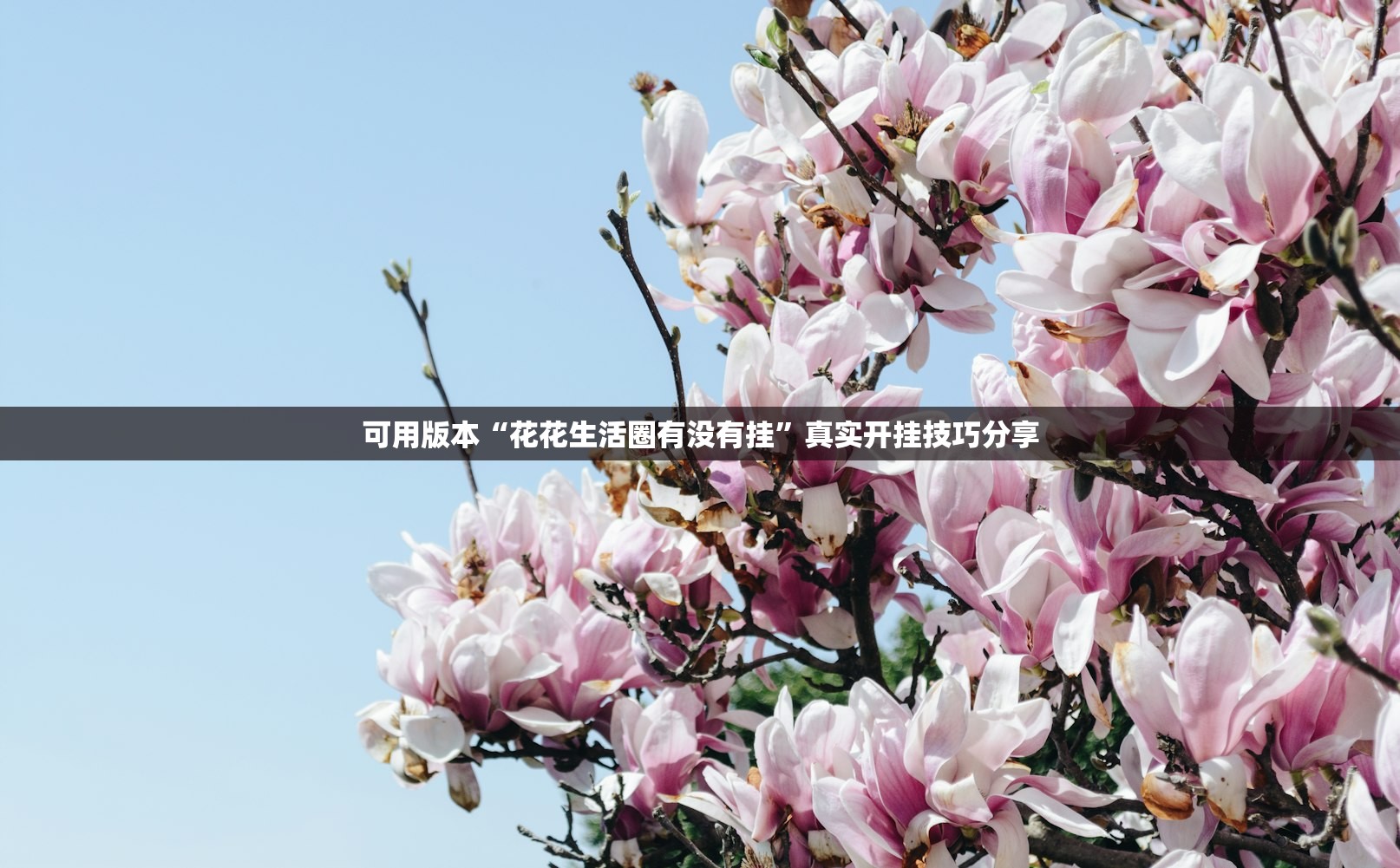 成都疫情的最新情况,成都疫情最新症状 成都疫情的最新情况,成都疫情最新症状