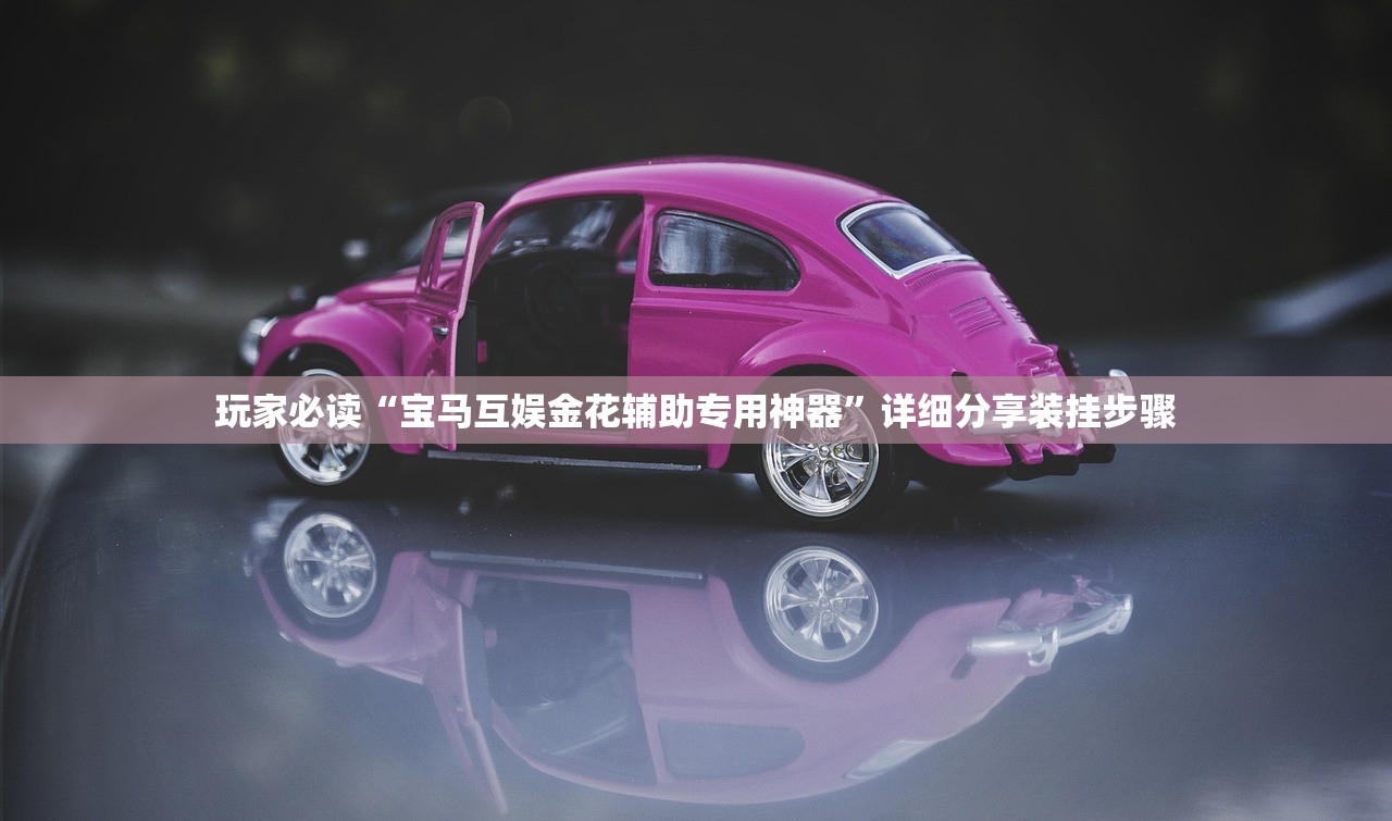 玩家必读“宝马互娱金花辅助专用神器	”详细分享装挂步骤