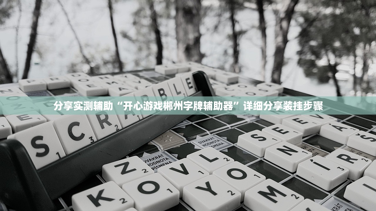 分享实测辅助“开心游戏郴州字牌辅助器”详细分享装挂步骤