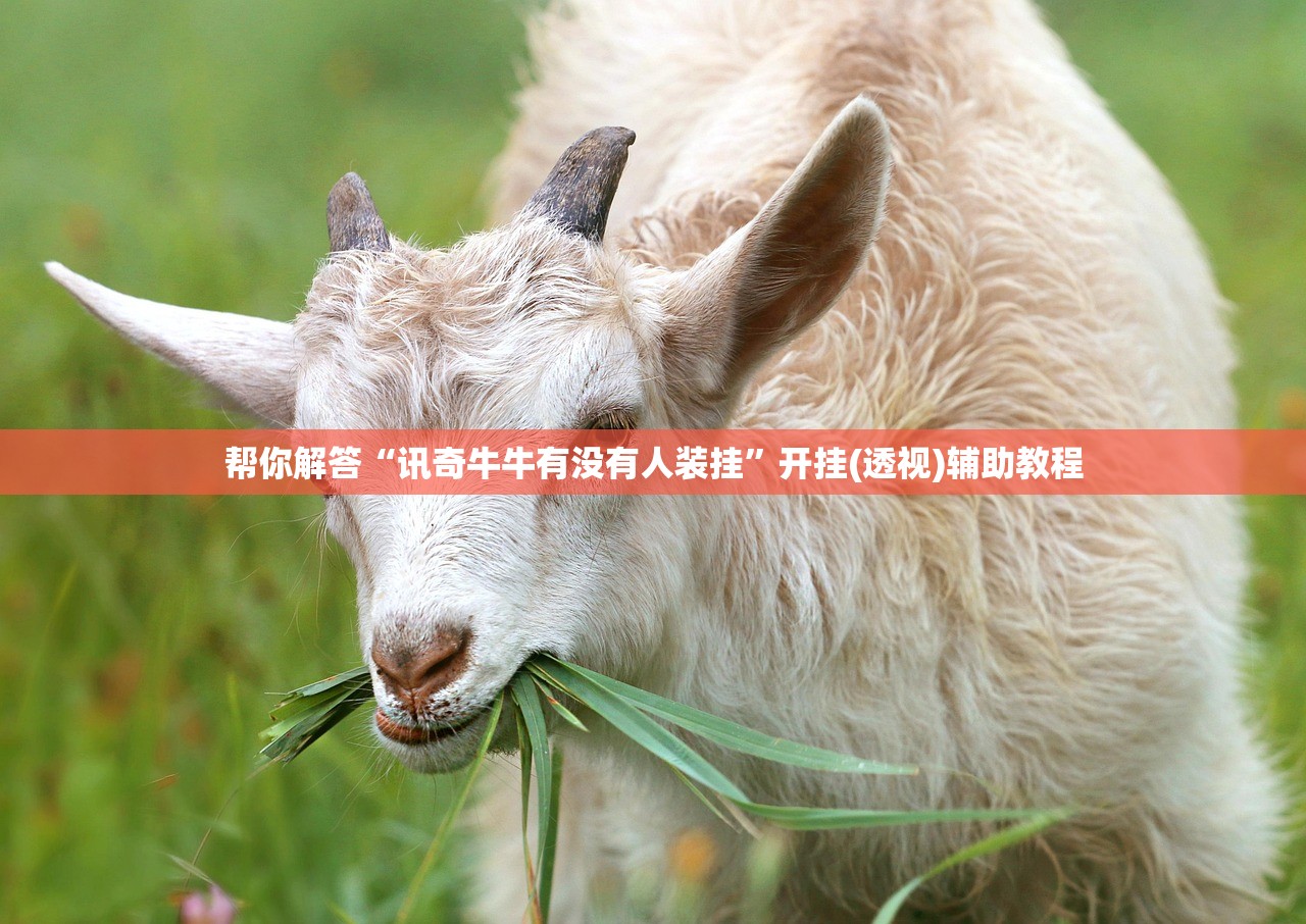 帮你解答“讯奇牛牛有没有人装挂”开挂(透视)辅助教程