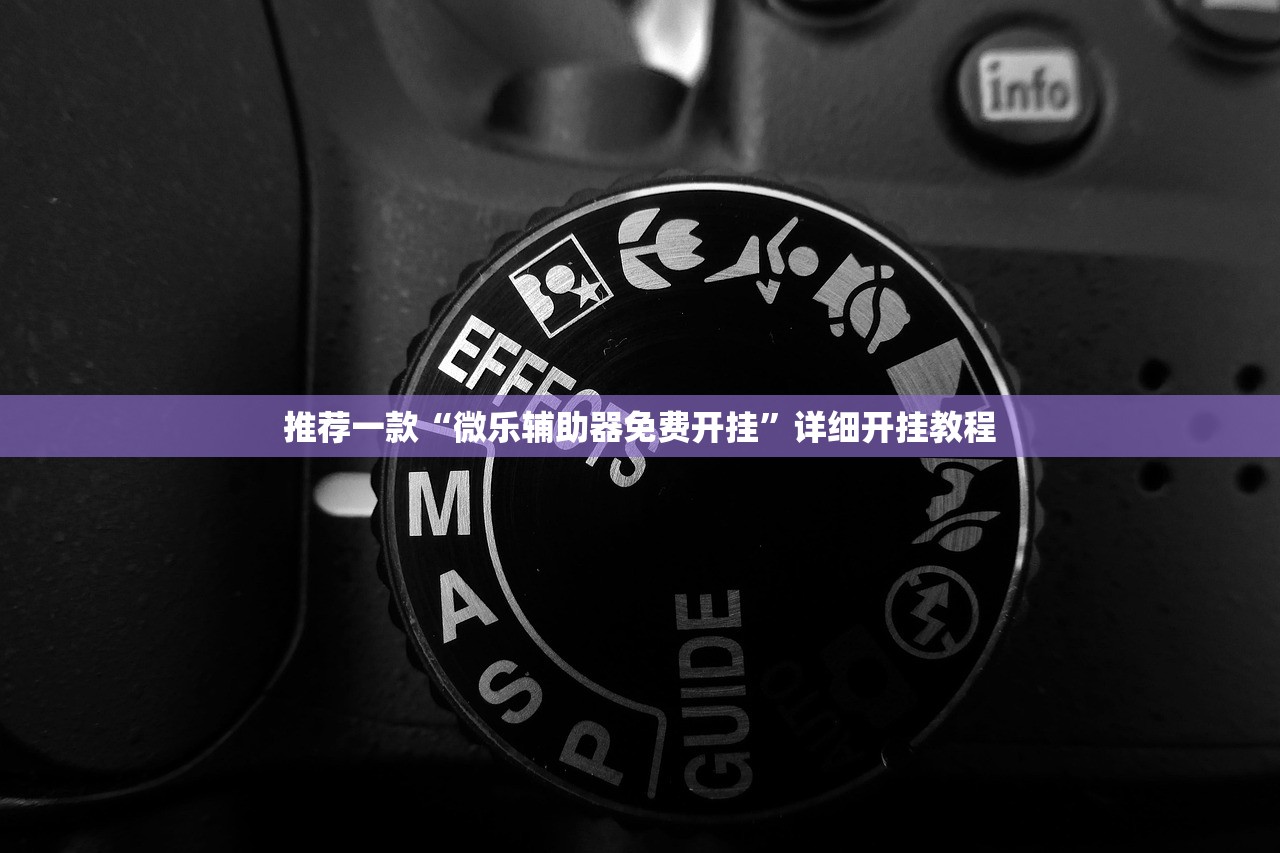 推荐一款“微乐辅助器免费开挂”详细开挂教程